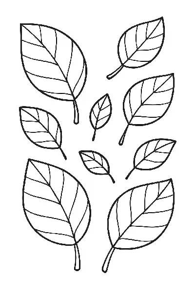 Blätter im Cartoon-Stil zum Ausmalen