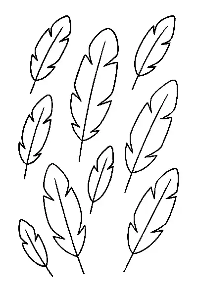 Federornament in klarer Linienführung