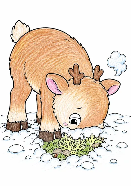 涂色页：小驯鹿幼崽将鼻子埋入雪中，同时用一只眼睛侧视