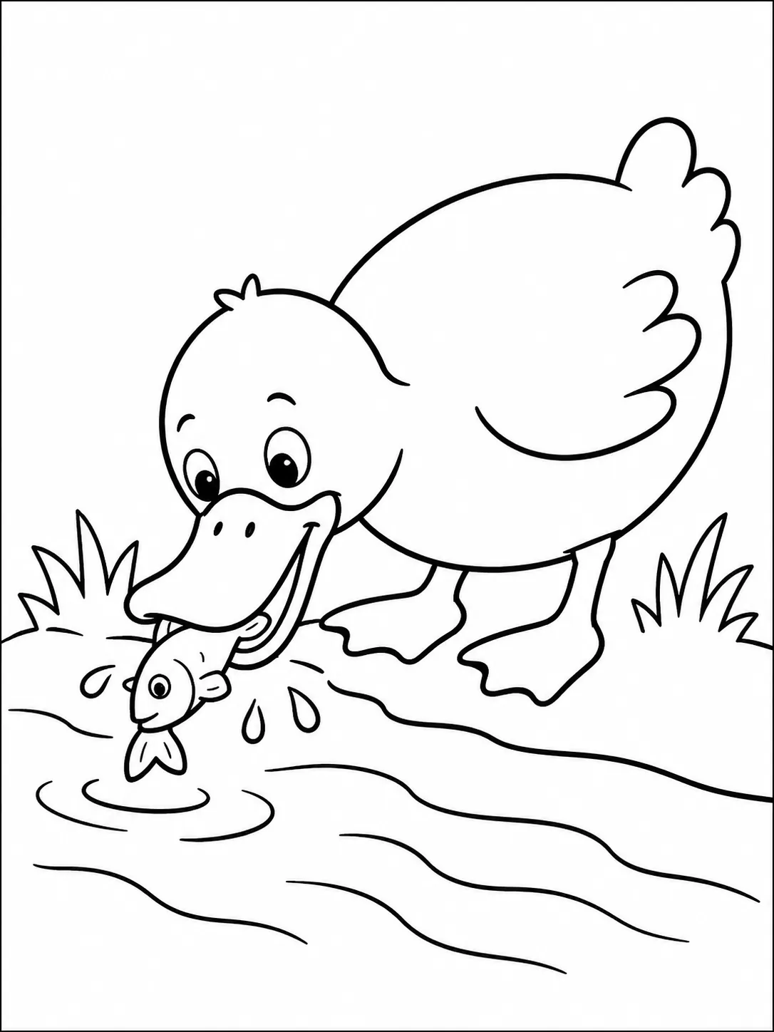 Ausmalbild: Runde Ente schöpft mit Schnabel Fisch aus Bachlauf