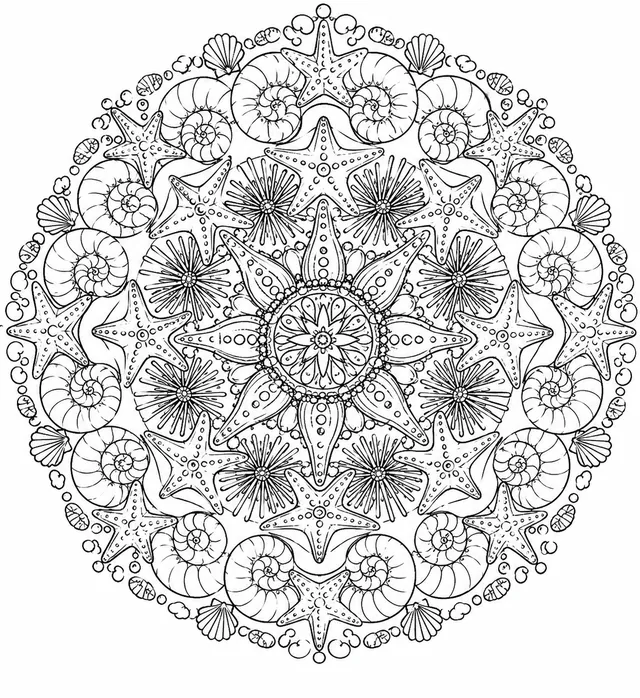 Mandala: Muschelformen und Seestern-Symmetrien