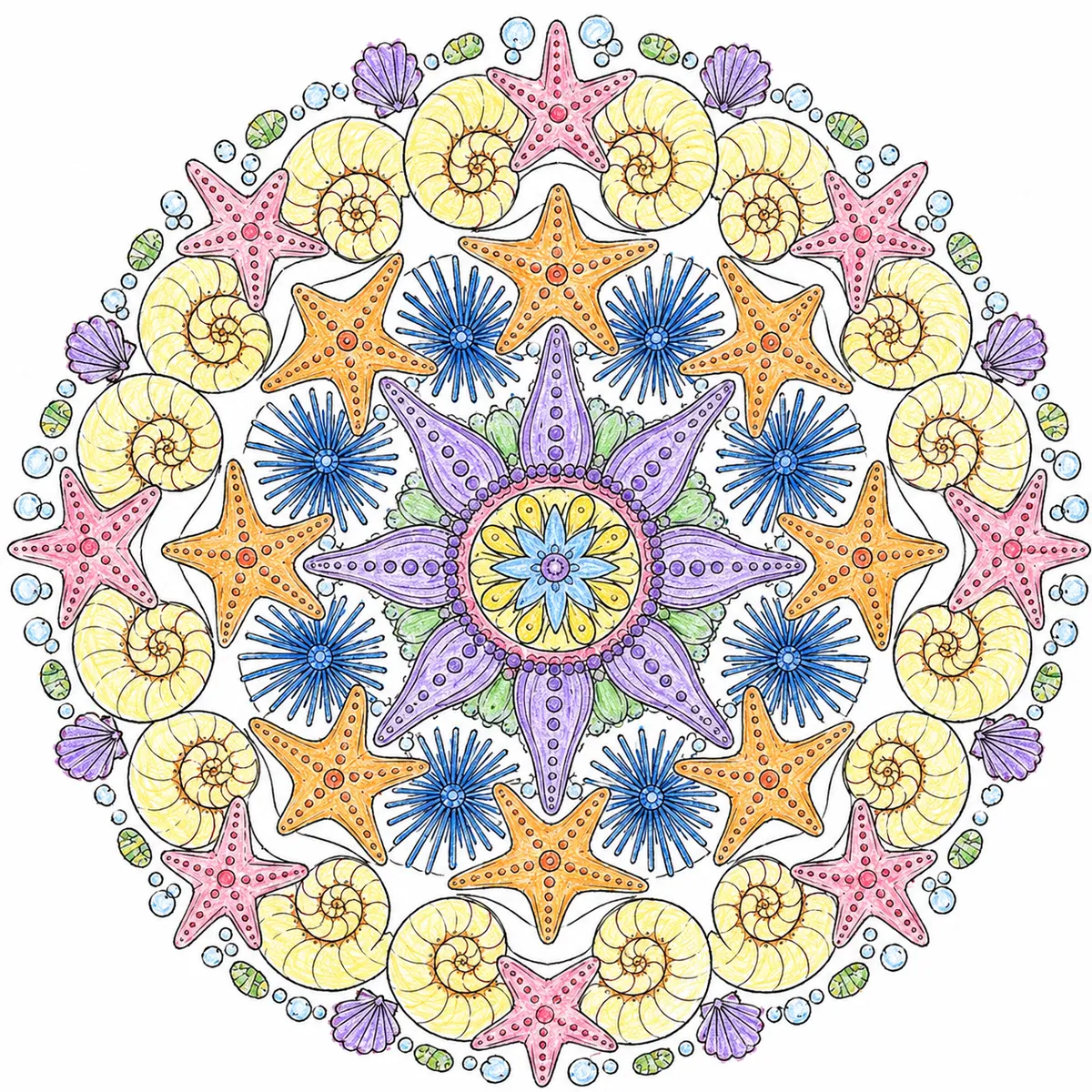 Mandala: Muschelformen und Seestern-Symmetrien