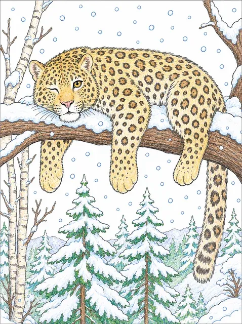 涂色页：趴在积雪树枝上的阿穆尔豹
