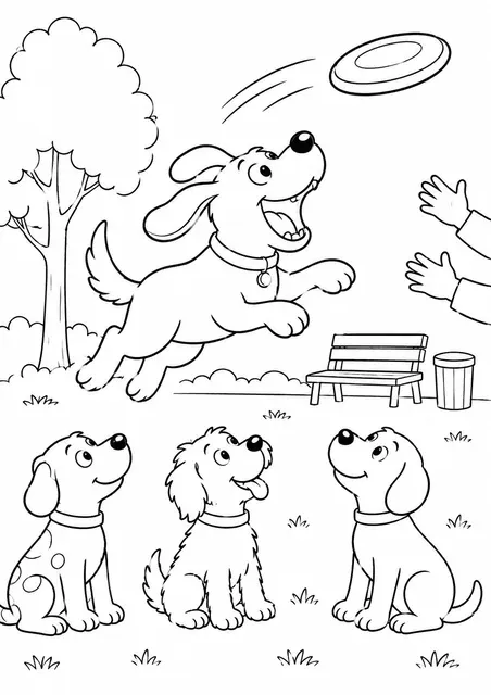 狗狗在公园里接飞盘